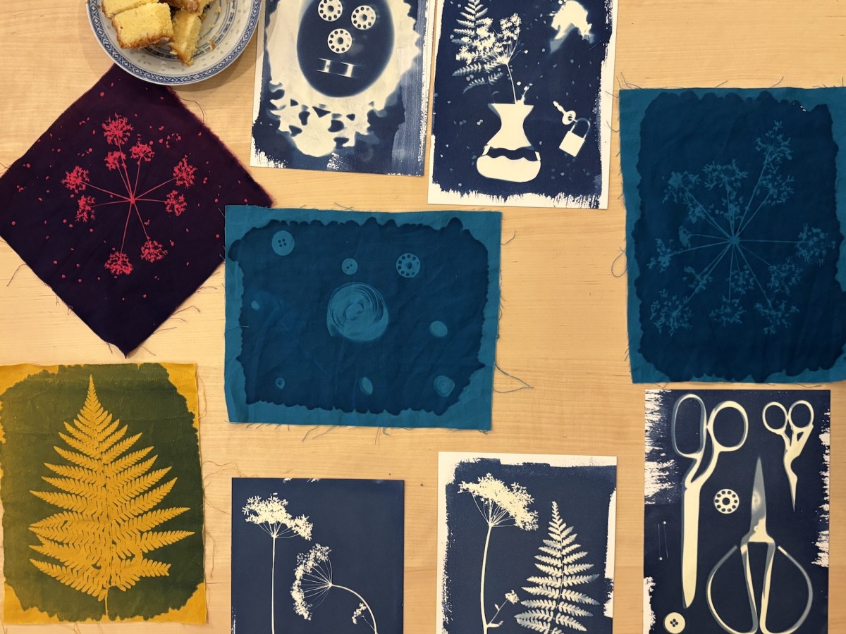 Cyanotype : exploration